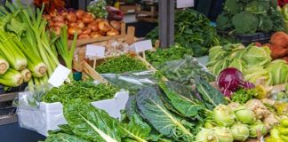 Vitamin Değeri Yüksek Sebzeler Günlük beslenme düzeninde sebzeler, vücudun ihtiyaç duyduğu vitamin ve minerallerin karşılanmasına katkı sağlayan temel besin grupları arasında yer alıyor. Farklı renk ve türlerdeki sebzeler, içerdikleri vitaminlerin yanı sıra lif, mineral ve çeşitli bitkisel bileşenlerle beslenme çeşitliliğini destekliyor. Bu nedenle Vitamin Değeri Yüksek Sebzeler, dengeli bir beslenme düzeni oluşturmak isteyenlerin sofralarında önemli bir yere sahip oluyor. Konulu bir haber görseli.