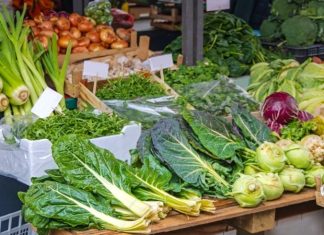 Vitamin Değeri Yüksek Sebzeler Günlük beslenme düzeninde sebzeler, vücudun ihtiyaç duyduğu vitamin ve minerallerin karşılanmasına katkı sağlayan temel besin grupları arasında yer alıyor. Farklı renk ve türlerdeki sebzeler, içerdikleri vitaminlerin yanı sıra lif, mineral ve çeşitli bitkisel bileşenlerle beslenme çeşitliliğini destekliyor. Bu nedenle Vitamin Değeri Yüksek Sebzeler, dengeli bir beslenme düzeni oluşturmak isteyenlerin sofralarında önemli bir yere sahip oluyor. Konulu bir haber görseli.