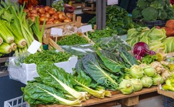 Vitamin Değeri Yüksek Sebzeler Günlük beslenme düzeninde sebzeler, vücudun ihtiyaç duyduğu vitamin ve minerallerin karşılanmasına katkı sağlayan temel besin grupları arasında yer alıyor. Farklı renk ve türlerdeki sebzeler, içerdikleri vitaminlerin yanı sıra lif, mineral ve çeşitli bitkisel bileşenlerle beslenme çeşitliliğini destekliyor. Bu nedenle Vitamin Değeri Yüksek Sebzeler, dengeli bir beslenme düzeni oluşturmak isteyenlerin sofralarında önemli bir yere sahip oluyor. Konulu bir haber görseli.