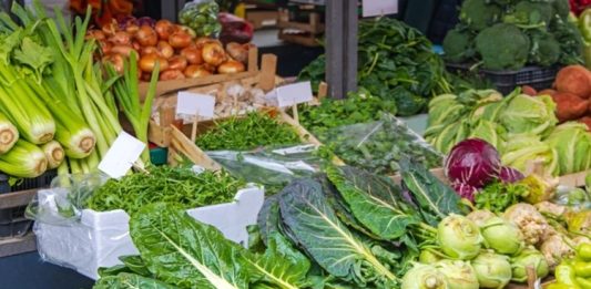 Vitamin Değeri Yüksek Sebzeler Günlük beslenme düzeninde sebzeler, vücudun ihtiyaç duyduğu vitamin ve minerallerin karşılanmasına katkı sağlayan temel besin grupları arasında yer alıyor. Farklı renk ve türlerdeki sebzeler, içerdikleri vitaminlerin yanı sıra lif, mineral ve çeşitli bitkisel bileşenlerle beslenme çeşitliliğini destekliyor. Bu nedenle Vitamin Değeri Yüksek Sebzeler, dengeli bir beslenme düzeni oluşturmak isteyenlerin sofralarında önemli bir yere sahip oluyor. Konulu bir haber görseli.