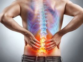 Vitamin Desteği ve Kemik Sağlığı Kemik sağlığı, vücudun hareket kabiliyetinin korunması ve günlük yaşamın sürdürülebilmesi açısından önemli bir yere sahip. Yaş ilerledikçe kemik yapısında meydana gelebilecek değişiklikler, beslenme alışkanlıkları ve fiziksel aktivite düzeyi kemiklerin dayanıklılığını etkileyebiliyor. Bu noktada vitamin ve minerallerin yeterli alınması dikkat çekerken, özellikle D vitamini kemik metabolizmasıyla ilişkisi nedeniyle öne çıkıyor. Vitamin Desteği ise gerekli durumlarda vücudun ihtiyaç duyduğu besin öğelerinin tamamlanmasına yardımcı olmak amacıyla değerlendirilebiliyor. Konulu bir haber görseli.