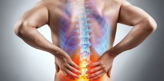 Vitamin Desteği ve Kemik Sağlığı Kemik sağlığı, vücudun hareket kabiliyetinin korunması ve günlük yaşamın sürdürülebilmesi açısından önemli bir yere sahip. Yaş ilerledikçe kemik yapısında meydana gelebilecek değişiklikler, beslenme alışkanlıkları ve fiziksel aktivite düzeyi kemiklerin dayanıklılığını etkileyebiliyor. Bu noktada vitamin ve minerallerin yeterli alınması dikkat çekerken, özellikle D vitamini kemik metabolizmasıyla ilişkisi nedeniyle öne çıkıyor. Vitamin Desteği ise gerekli durumlarda vücudun ihtiyaç duyduğu besin öğelerinin tamamlanmasına yardımcı olmak amacıyla değerlendirilebiliyor. Konulu bir haber görseli.