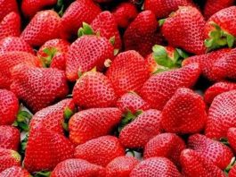 Vitamin Kaynağı Mevsim Meyveleri Mevsiminde yetişen meyveler, günlük beslenme düzeninde doğal ve lezzetli seçenekler arasında yer alıyor. Farklı mevsimlerde yetişen meyveler, içerdikleri vitamin, mineral, lif ve çeşitli bitkisel bileşenlerle beslenme çeşitliliğine katkı sağlıyor. Özellikle vitamin kaynağı mevsim meyveleri, mevsimine uygun beslenmek isteyenlerin sofralarında önemli bir yer tutuyor. Konulu bir haber görseli.
