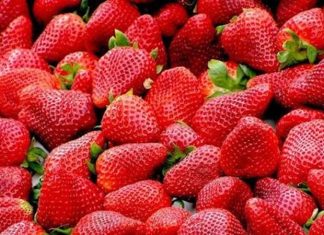 Vitamin Kaynağı Mevsim Meyveleri Mevsiminde yetişen meyveler, günlük beslenme düzeninde doğal ve lezzetli seçenekler arasında yer alıyor. Farklı mevsimlerde yetişen meyveler, içerdikleri vitamin, mineral, lif ve çeşitli bitkisel bileşenlerle beslenme çeşitliliğine katkı sağlıyor. Özellikle vitamin kaynağı mevsim meyveleri, mevsimine uygun beslenmek isteyenlerin sofralarında önemli bir yer tutuyor. Konulu bir haber görseli.