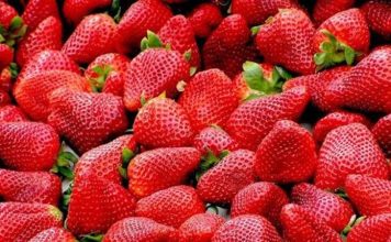 Vitamin Kaynağı Mevsim Meyveleri Mevsiminde yetişen meyveler, günlük beslenme düzeninde doğal ve lezzetli seçenekler arasında yer alıyor. Farklı mevsimlerde yetişen meyveler, içerdikleri vitamin, mineral, lif ve çeşitli bitkisel bileşenlerle beslenme çeşitliliğine katkı sağlıyor. Özellikle vitamin kaynağı mevsim meyveleri, mevsimine uygun beslenmek isteyenlerin sofralarında önemli bir yer tutuyor. Konulu bir haber görseli.