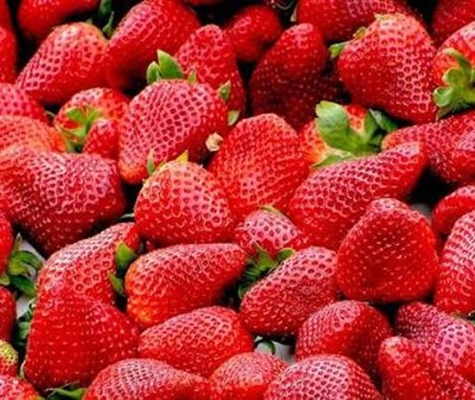 Vitamin Kaynağı Mevsim Meyveleri Mevsiminde yetişen meyveler, günlük beslenme düzeninde doğal ve lezzetli seçenekler arasında yer alıyor. Farklı mevsimlerde yetişen meyveler, içerdikleri vitamin, mineral, lif ve çeşitli bitkisel bileşenlerle beslenme çeşitliliğine katkı sağlıyor. Özellikle vitamin kaynağı mevsim meyveleri, mevsimine uygun beslenmek isteyenlerin sofralarında önemli bir yer tutuyor. Konulu bir haber görseli.