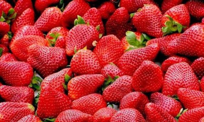 Vitamin Kaynağı Mevsim Meyveleri Mevsiminde yetişen meyveler, günlük beslenme düzeninde doğal ve lezzetli seçenekler arasında yer alıyor. Farklı mevsimlerde yetişen meyveler, içerdikleri vitamin, mineral, lif ve çeşitli bitkisel bileşenlerle beslenme çeşitliliğine katkı sağlıyor. Özellikle vitamin kaynağı mevsim meyveleri, mevsimine uygun beslenmek isteyenlerin sofralarında önemli bir yer tutuyor. Konulu bir haber görseli.